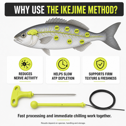 IKEJIME Rugged Ikejime Kit - why use the ikejime method, nerve activity and flesh quality