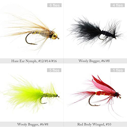 Fly Fishing Dry Flies Wet Flies 60pcs Assortment Kit – CROCH