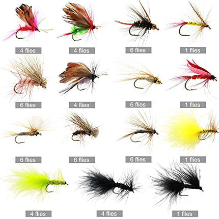 Fly Fishing Dry Flies Wet Flies 60pcs Assortment Kit – CROCH